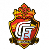龙仁FC